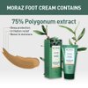 Moraz Caftan Polygonum Foot Cream - Intensive Care Foot Cream for Dry Cracked Heels and Feet - Herbal Moisturizing Foot Cream for Dry Feet - 1.7 oz