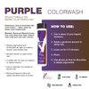 Celeb Luxury Purple Hair Color Depositing Colorwash Shampoo for Brunettes + Bondfix Bond Rebuilder, Semi Permanent Hair Color, Vegan Hair Dye