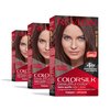 Revlon Permanent Hair Color, Permanent Brown Hair Dye, Colorsilk with 100% Gray Coverage, Ammonia-Free, Keratin and Amino Acids, Brown Shades (Pack of 3)