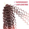 GoGo Curl Crochet Hair 18Inch 6Packs Curl Crotchet Braiding Hair Water Wave Synthetic Braiding Hair Extensions (18 Inch (Pack of 6), 1B/350#)