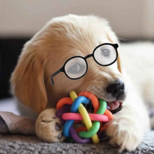 NUOBESTY Doll Eyewear 2pcs Doll Glasses Doll Eyeglasses Doll Dress up Glasses Dolls Reading Glasses Mini Glasses Costume Supplies for 15-20cm Doll Kids Play House Black Transparent