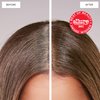dpHUE Root Touch-Up Kit, Dark Blonde - Permanent Hair Color for Gray Coverage - Includes Two Applications - Paraben, SLS & SLES Sulfate Free - Leaping Bunny Certified