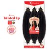 MULTI PACK DEALS! Outre Synthetic Braid - X PRESSION TWISTED UP SPRINGY AFRO TWIST 16 (1-PACK, 1B)