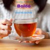 Boldo Herbal Filter Tea Value pack (60 tea Bags)
