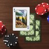 HAAKUN National Park Playing Cards Cute Pet Themed Card for Animal Lovers Teens Adults Friends Family Trivia Board Games Packs Design Set Waterproof Poker Collections Decks with Box
