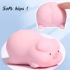 Squishy Pig Toy Gifts for Kids Squishies Anxiety Stress Relief Autism Disorders Funny Piggy Sensory Stress Toy for Girl Boy Women Girlfriend Birthday Party Favors