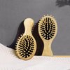 RAIN’S SECRET Mini Hair Brushes for Women Men Kid,Pocket Size hair brush, Wet/Dry Hair Smoothing Massaging Detangling,Scalp Massage, Pocket Detangler for Outing or Travelling