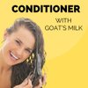 Black Canyon Home and Body Golden Goat Farms Fresh Peaches Scented Hair Conditioner with Goat Milk, 16 Oz