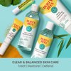 Burt’s Bees Clear and Balanced Deep Cleansing Acne Scrub, Salicylic Acid Acne Treatment with Cica, Facial Cream Exfoliator Helps Unclog Pores and Reduce Acne, 4 Oz
