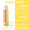 Bambalo 4-Pack Variety SPF 15 Lip Balm - Organic Ingredients, Broad Spectrum UVA/UVB Protection - Hydrating & Moisturizing, USA Made