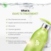 Olive TS Treatment (16.9 Fl Oz / 500mL) | Treatment of Damaged Hair and Dry Scalp and Hair | Olive Oil Hair Treatment - Hydrating and Restorative| Silicone Free | All Hair Types