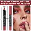AWCCXMYM 3 Colors Matte Lipstick Set Nude Lip Stick Long Lasting Waterproof Velvet Rotating Lip Crayon Professional Lip Gloss Makeup Set -Set B