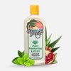 Caribbean Breeze Aloe Moisturizing Lotion, Aloe Vera Lotion for Body, Vitamin Enriched Aloe Lotion with Green Tea and Pomegranate, 8.5 oz (250 ml)