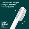 Quip Rechargeable Electric Toothbrush - Soft Bristle, Sonic Toothbrush with Magnetic Charging Cable & Habit Improving Timer - ADA Accepted Electric Toothbrush - Travel Toothbrush - Midnight, Plastic