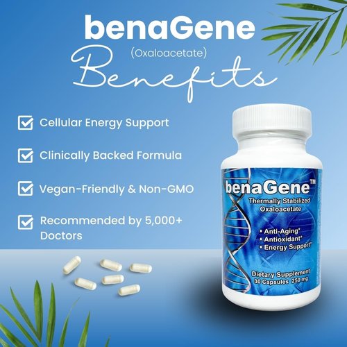 Benagene Oxaloacetate Supplement - Supports Cellular Energy - Thermally Stabilized with Vitamin C - Non-GMO & Vegan - 30 Servings, Once Daily
