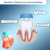 Collis Curve Triplefit Periodontal Toothbrush (Pack 4)