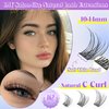 ALICE Wispy Lash Clusters Kit, Natural Lash Extension Kit Cluster Eyelash Extension Kit, 162pcs C Curl 10-14mm Eyelash Clusters with Lash Glue Bond and Seal Tweezers