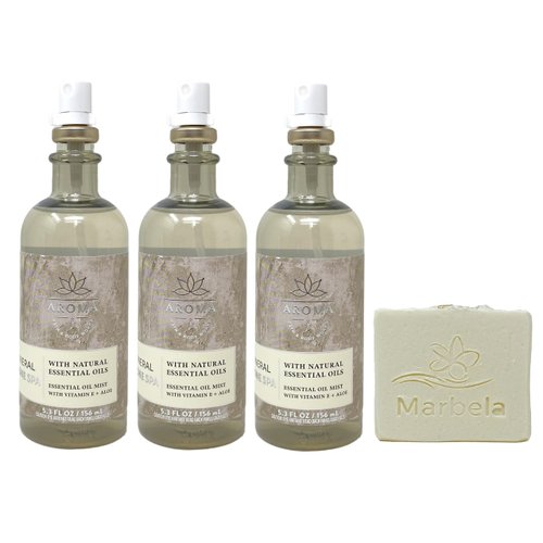 Bath & Body Works Aroma Mineral Stone Spa 3 Pack Essential Oil Mist Bundle with a Natural Oats Bar Soap - Full Size