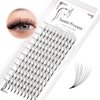 120Pcs Thickness 0.07mm C Curl,Premade 10D Fans Volume Eye Lashes Extensions Nature Long Professional Individual False Eyelashes Cluster Makeup Tools 8-18mm to Choose (10MM)