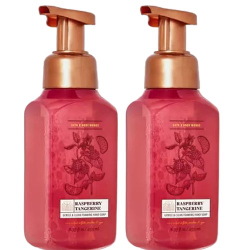 Bath & Body Works Bath and Body Works Gentle Foaming Hand Soap 8.75 Ounce 2-Pack (Raspberry Tangerine)