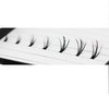 Bodermincer 240pcs 8-10-12mm Mixed/10-12-14mm Mixed/12-14-16mm Mixed Grafting 30D Natural Eyelash Extensions Mink Black Fake False Eyelashes C Curl (12-14-16mm Mixed)