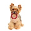 SPOT Barrett Tough Ring, Rubber Dog Toy for Agressive Chewers, 5in