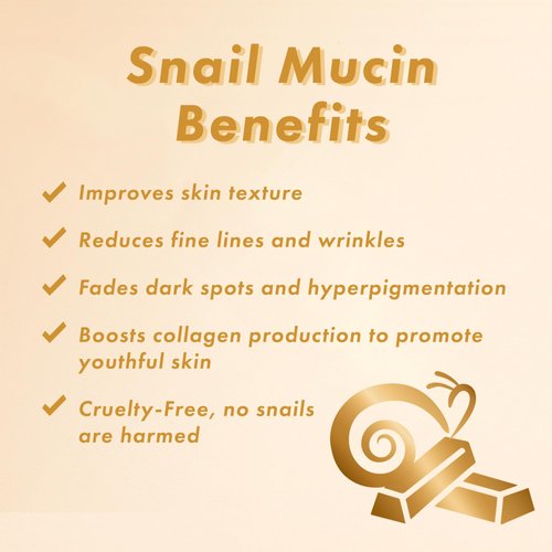 TONYMOLY Timeless Ferment Snail Lip Treatment Stick, 0.12 Ounce