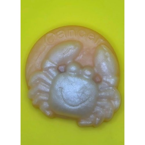 Cancer Soap, Crystal Inside Soap, Gemstone Soap, Bamboo and Coconut Scent, Zodiac Soap, Horoscope Gift, Vegan Bar Soap, Astrology