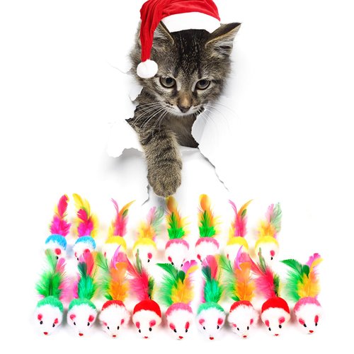 FYNIGO Cat Mouse Toys,17 PCS Cat Toy Mice Rattle Set,Interactive Cat Toy for Indoor Cats and Kittens,Assorted Color Catnip Toys with Feather Tail