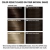 AGE beautiful Permanent Hair Color Dye Liqui Creme | 100% Gray Coverage | Anti-Aging Haircolor | Biotin for Thicker, Fuller Hair | Professional Salon Coloring | 3NN Darkest Intense Brown