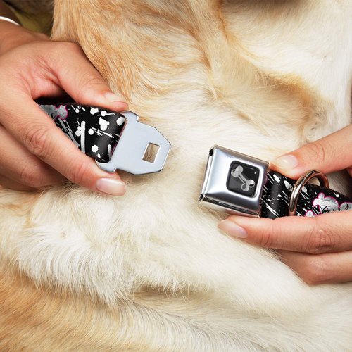 Buckle-Down Dog Collar Seatbelt Buckle Punk Princess Heart Cross Bones Splatter Black White, Multicolor, 1" Wide - Fits 9-15" Neck - Small (DC-W31683-S)