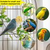 PEUTIER Parrot Spinner Toy, Parakeet Toy Wheel Bird Toys Interactive Spinning Rattle Parrot Toys Cockatiel Toys for Bird Cage for Entertainment Chewing Exercise