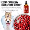 Multivitamin for Dogs & Cats | Multivitamin for Cats | Dog Vitamins Multivitamin | Pet Vitamins | Vitamin for Cats | Liquid Dog Vitamins | Liquid Cat Vitamins