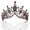 Florry Halloween Black Tiaras and Crowns Baroque Crystal Queen Crowns for Costume Festival Prom Wedding Tiara Bridal Hair Accessories for Women and Brides (Black)
