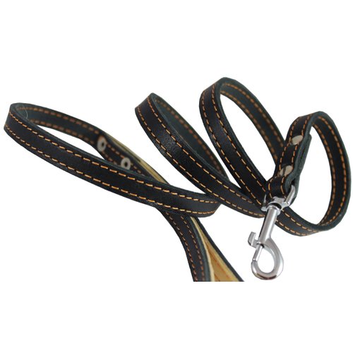 4' Genuine Leather Classic Dog Leash 1/2" Wide, Small and Medium Dogs