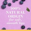 Burt's Bees 100% Natural Origin Squeezy Tinted Lip Balm, Berry Sorbet, 0.43 Ounce Squeeze Tube