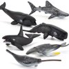 Fantarea 6 PCS Realistic Mini Sea Marine Animal Figures Ocean Creatures Action Models Figurine Whale Ornament Education Cognitive Toy for Boys Girls Kid