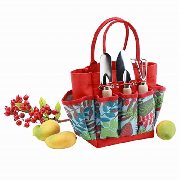 Bo Toys and Gifts Kids Garden Tool Set with Tote