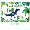 Dinosaur 2nd Birthday Party Backdrop,Two Rex Dinosaur Party Decorations,Dinosaur Birthday Party Supplies 2 Year Old Boy,2nd Birthday Decorations for Boys Dinosaur Birthday Party Supplies