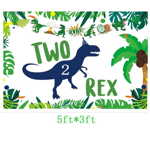 Dinosaur 2nd Birthday Party Backdrop,Two Rex Dinosaur Party Decorations,Dinosaur Birthday Party Supplies 2 Year Old Boy,2nd Birthday Decorations for Boys Dinosaur Birthday Party Supplies