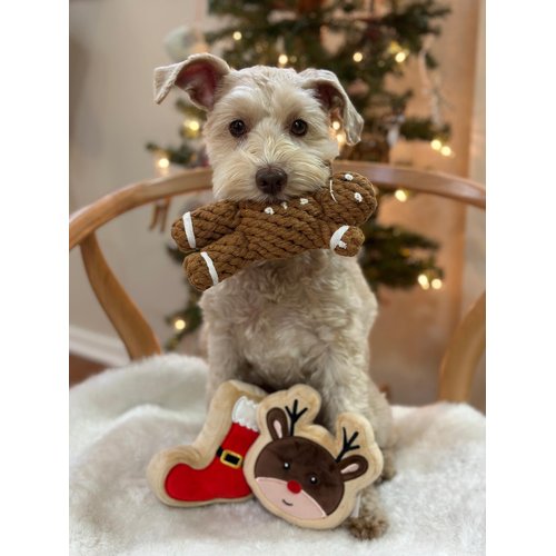 Midlee Reindeer Sugar Cookie Dog Toy (Small)