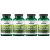 Swanson Turkey Tail Mushroom - Herbal Supplement - Natural Formula - (120 Capsules, 500 mg) (4 Pack)