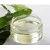 Olivaloe Face Cream for Dry to Dehydrated Skin