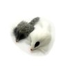 Kats'N Us Real Rabbit Fur Long Hair Mouse Cat Toy - 2pk