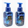 Generic Honolulu Sun Foaming Hand Soap Gentle w Natural Essential Oils Bath and Body 2 pack