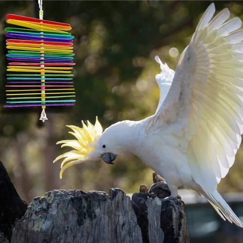1112 Rainbow Stick Chewer Bird Toy – Colorful Hanging Shredding and Chewing Toy for Parrots, Conures, Cockatiels, and Budgies – Vibrant and Engaging Bird-Safe Toy – Made in USA by M&M Bird Toys