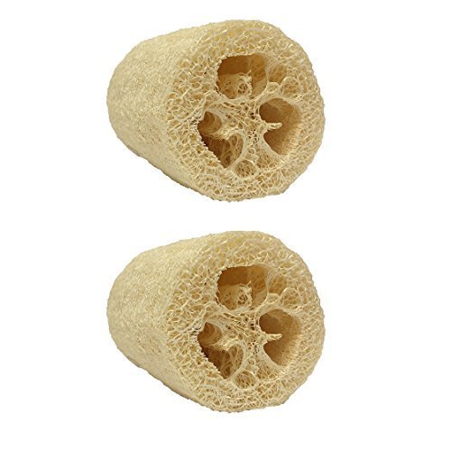 3 Pack Natural Loofah Body Scrub (5 inches) with Single Empty Shower Gel Foamer Bottle (1.7 oz)