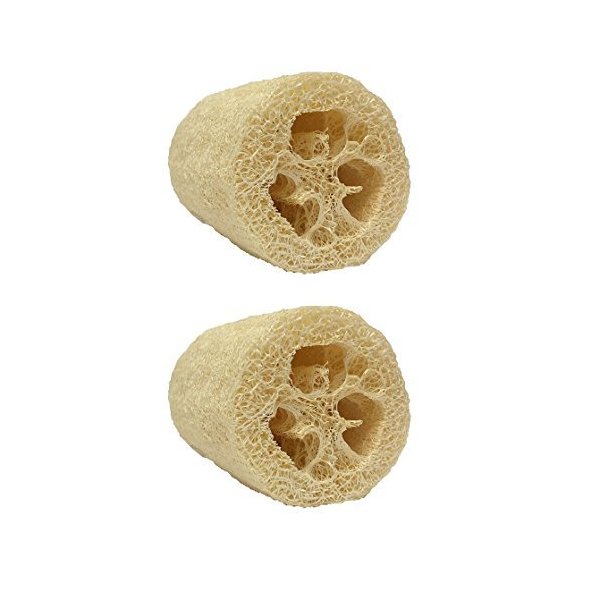3 Pack Natural Loofah Body Scrub (5 inches) with Single Empty Shower Gel Foamer Bottle (1.7 oz)