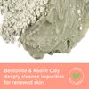 Deep Cleansing Powder-To-Clay Beauty Mask