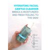 The Purest Solutions Hydrating Gentle Facial Cleanser (0.5% Hyaluronic Acid & 0.5% Sodium PCA Ceramide) - Exfoliating Salicylic Acid Cleanser for All Skin Types - Vegan | Cruelty Free (6.76 fl. oz)